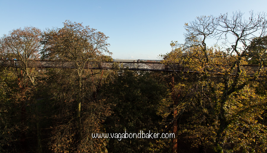 Kew Gardens in Autumn