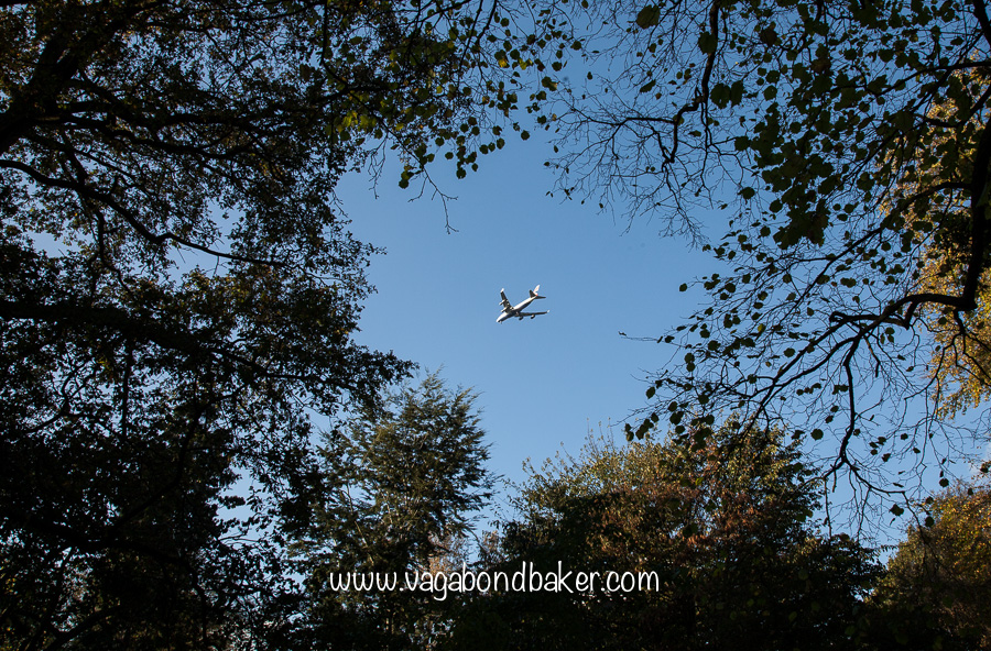 Kew Gardens in Autumn