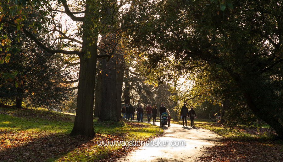 Kew Gardens in Autumn