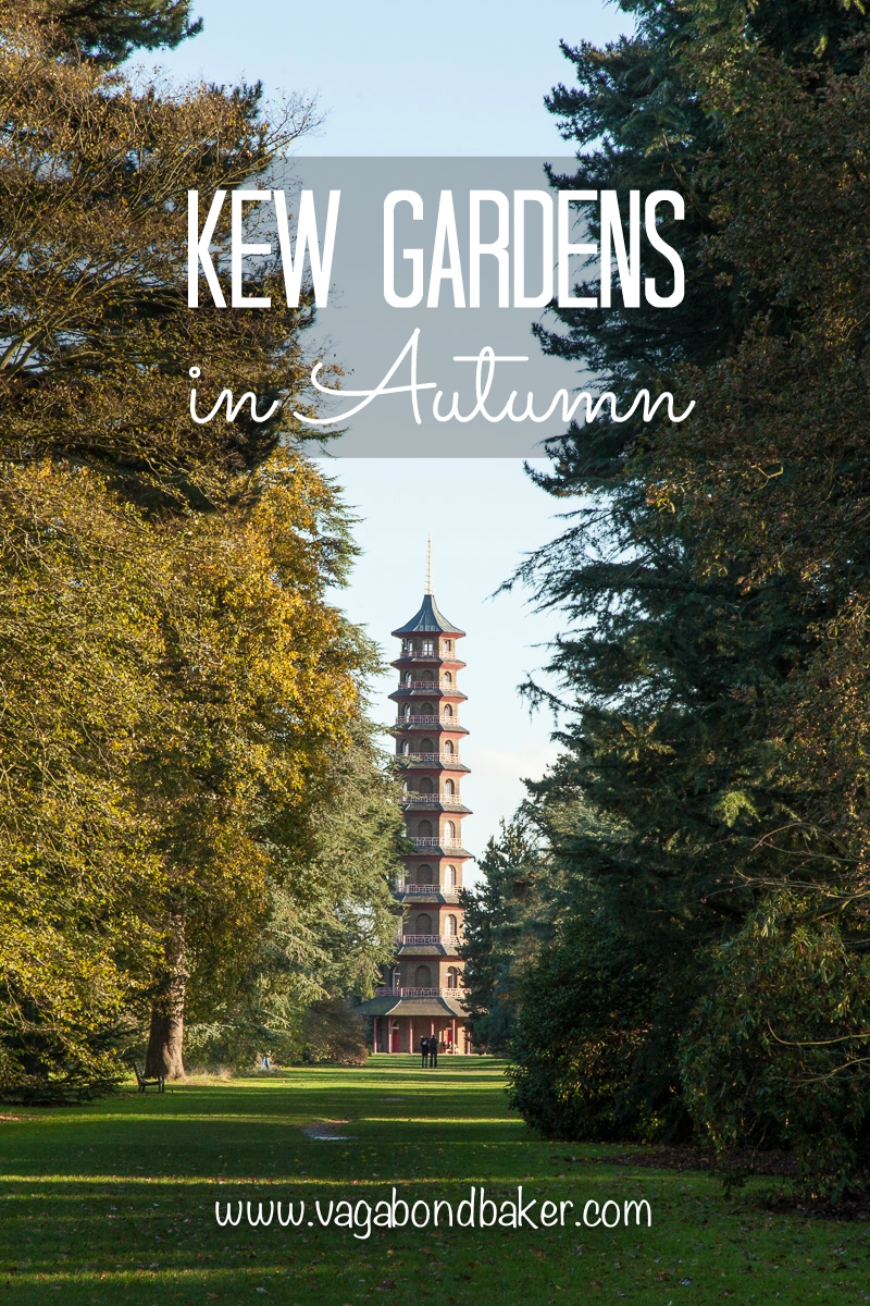 Kew-Gardens-Autumn