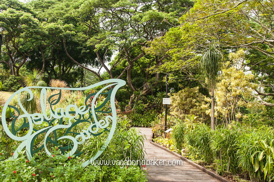 Singapore Botanic Gardens