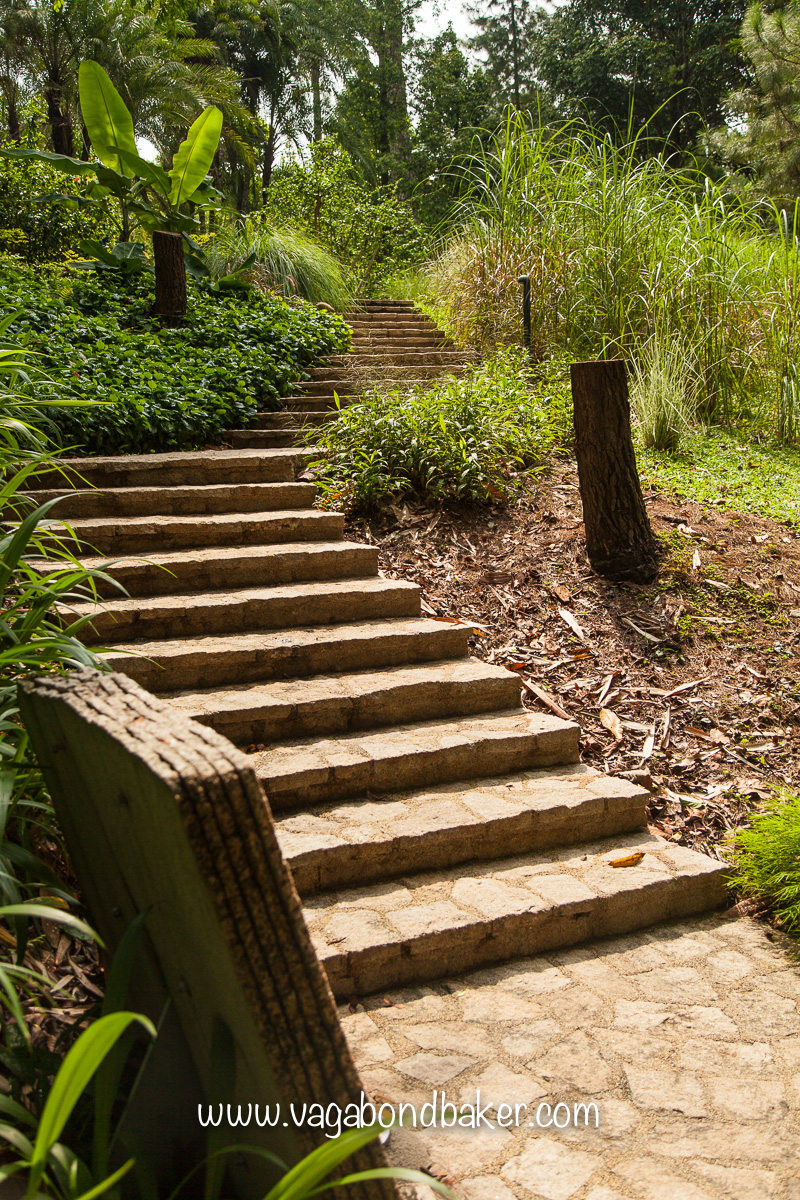 Singapore Botanic Gardens, free things to do in Singapore