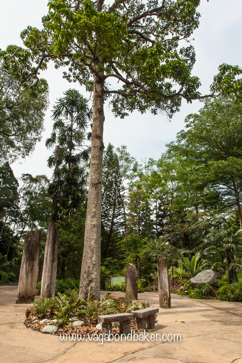 Singapore Botanic Gardens, free things to do in Singapore