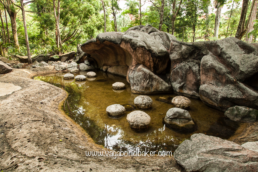 Singapore Botanic Gardens, free things to do in Singapore