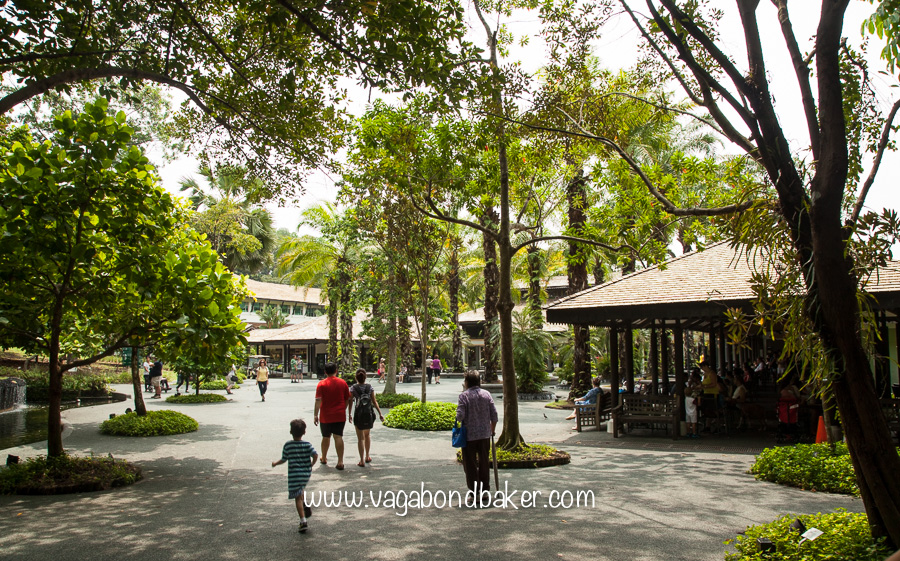 Singapore Botanic Gardens, free things to do in Singapore