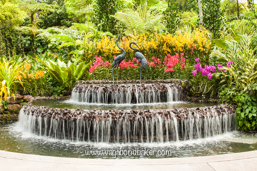 Singapore Botanic Gardens, free things to do in Singapore