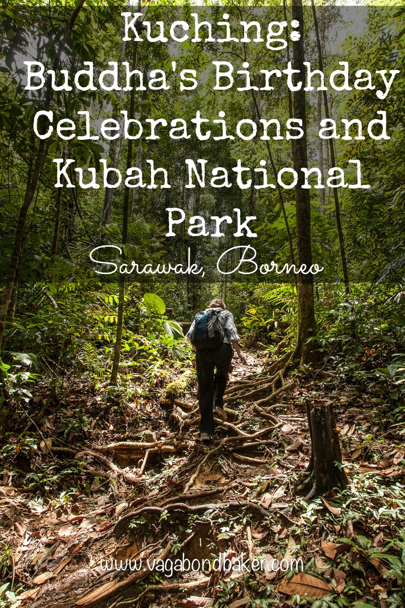 Kuching Buddha's Birthday and Kubah National Park // Sarawak // Borneo