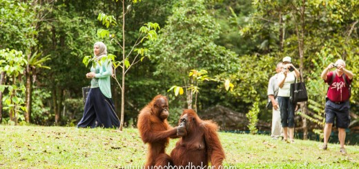 Semenggoh Wildlife Centre