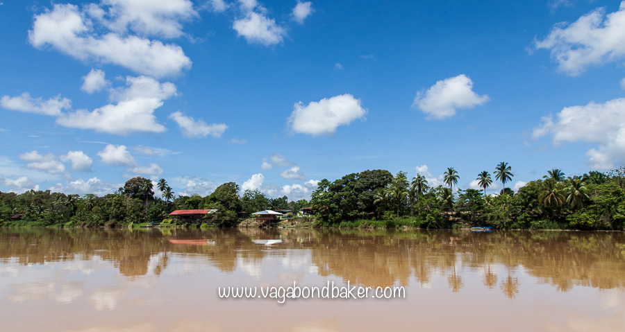 Kinabatangan River, Borneo
