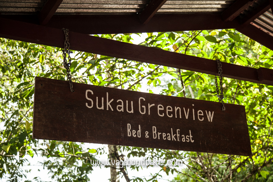 Kinabatangan River, Borneo