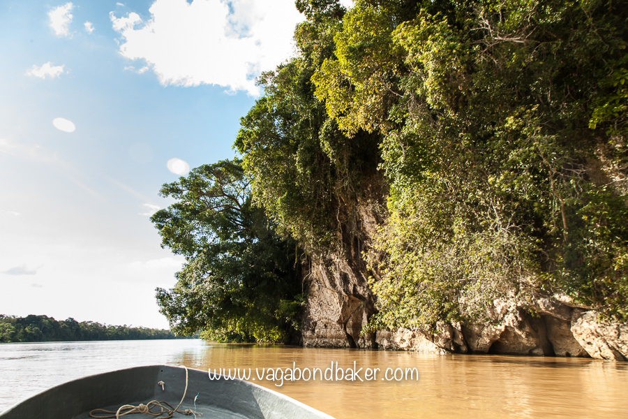 Kinabatangan River, Borneo