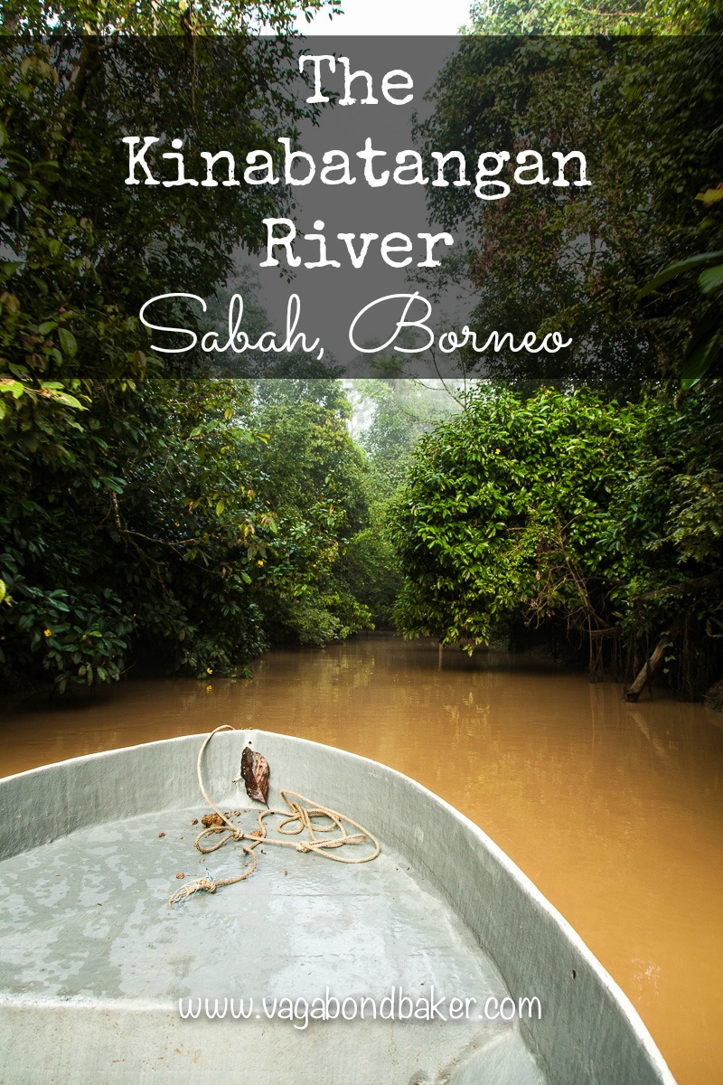 The Kinabatangan River: visiting on a budget. Sabah, Borneo