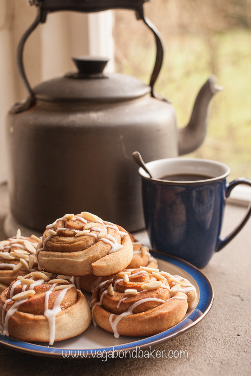 Vegan Swedish Cinnamon Rolls