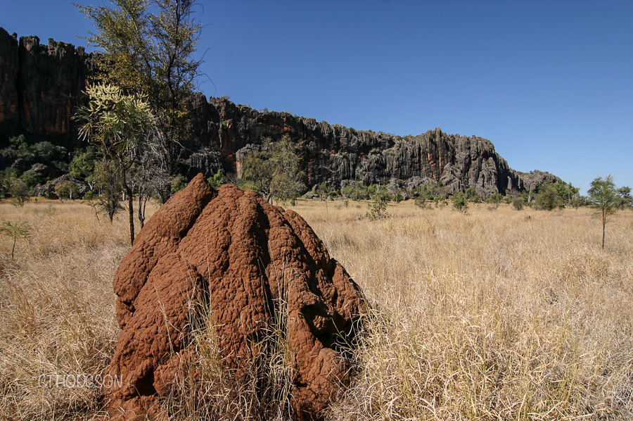 Broome to Exmouth Roadtrip