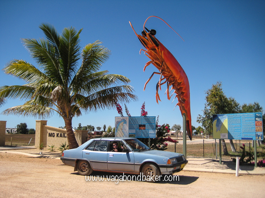 Broome to Exmouth Roadtrip