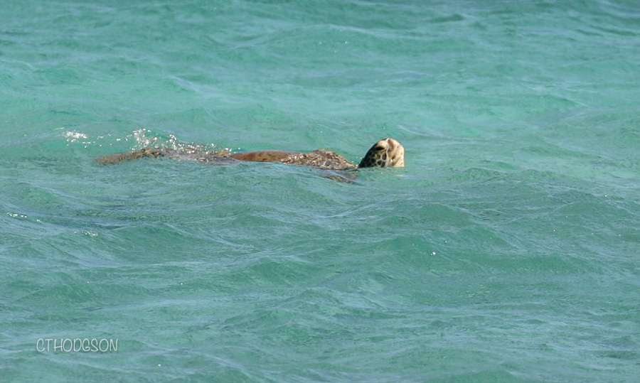 Cape Range NP, Australia