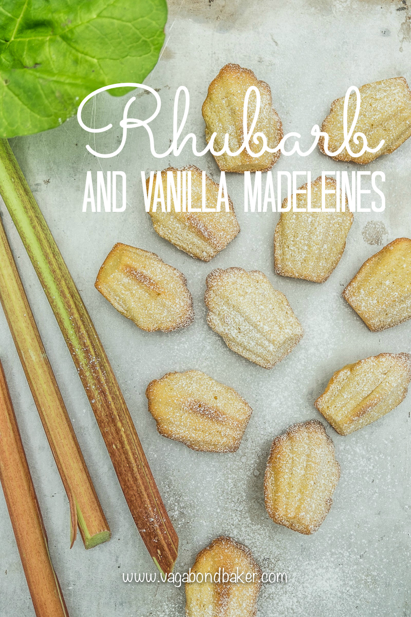 Rhubarb and Vanilla Madeleines-8285