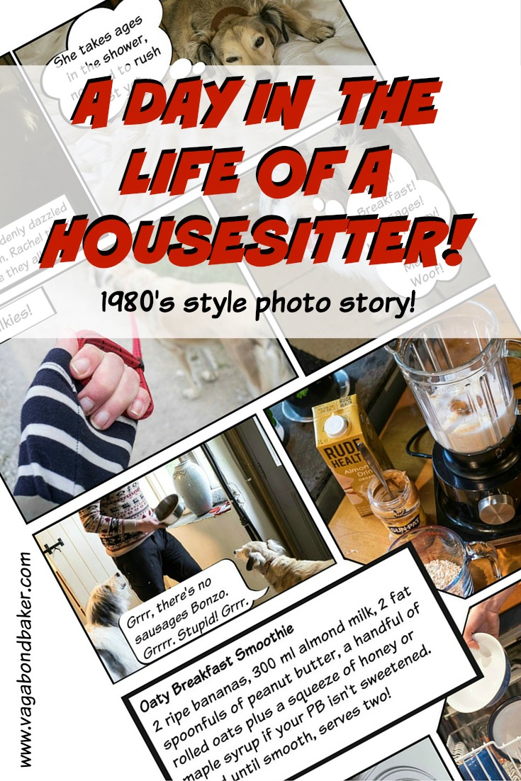 A Day In The Life Of A House Sitter