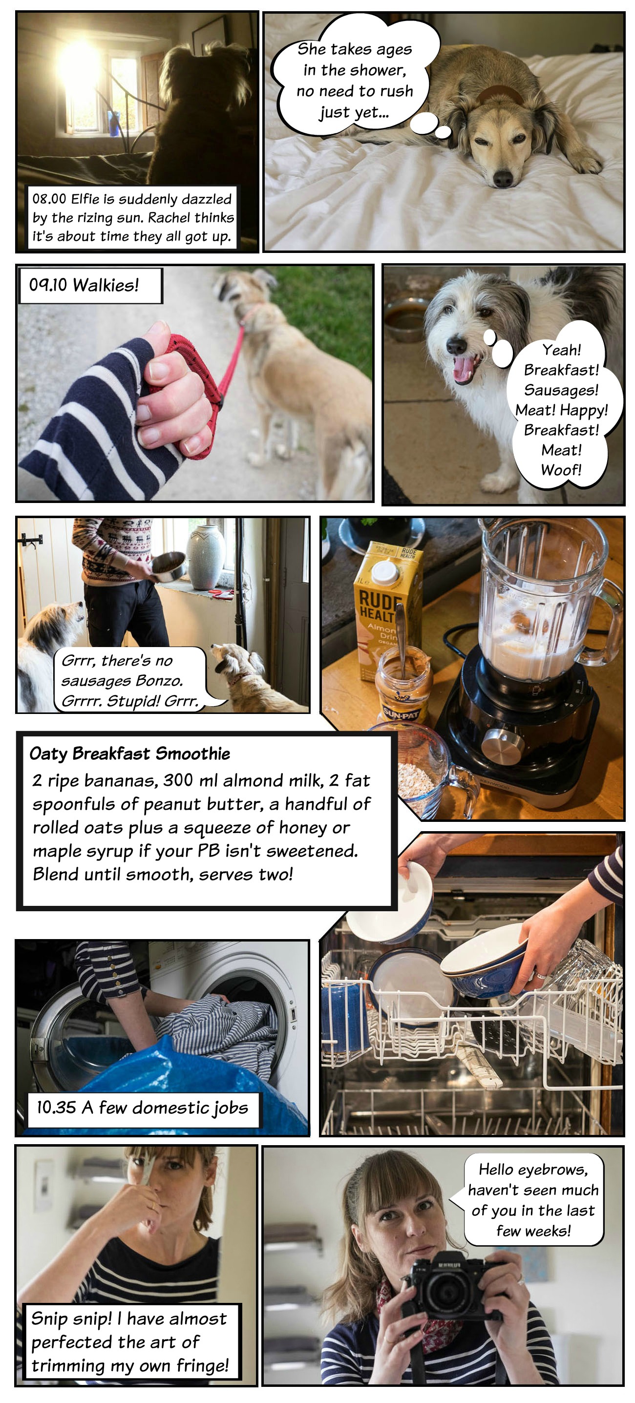 A Day In The Life Of A Housesitter001