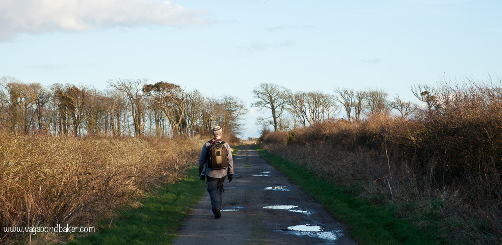 WWT Caerlaverock // Solway Firth // Scotland