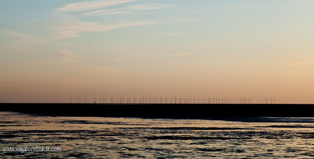 WWT Caerlaverock // Solway Firth // Scotland