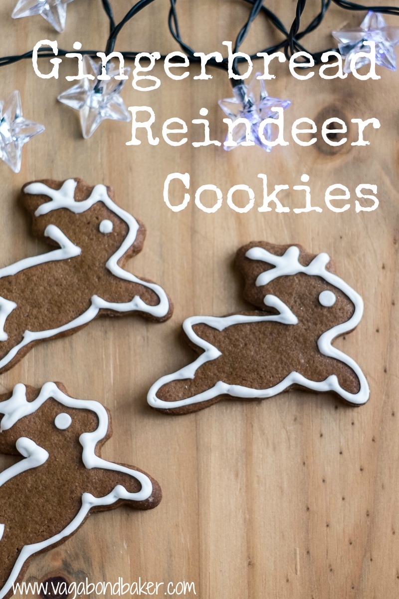 Gingerbread Reindeer Cookies, so cute and Christmassy!