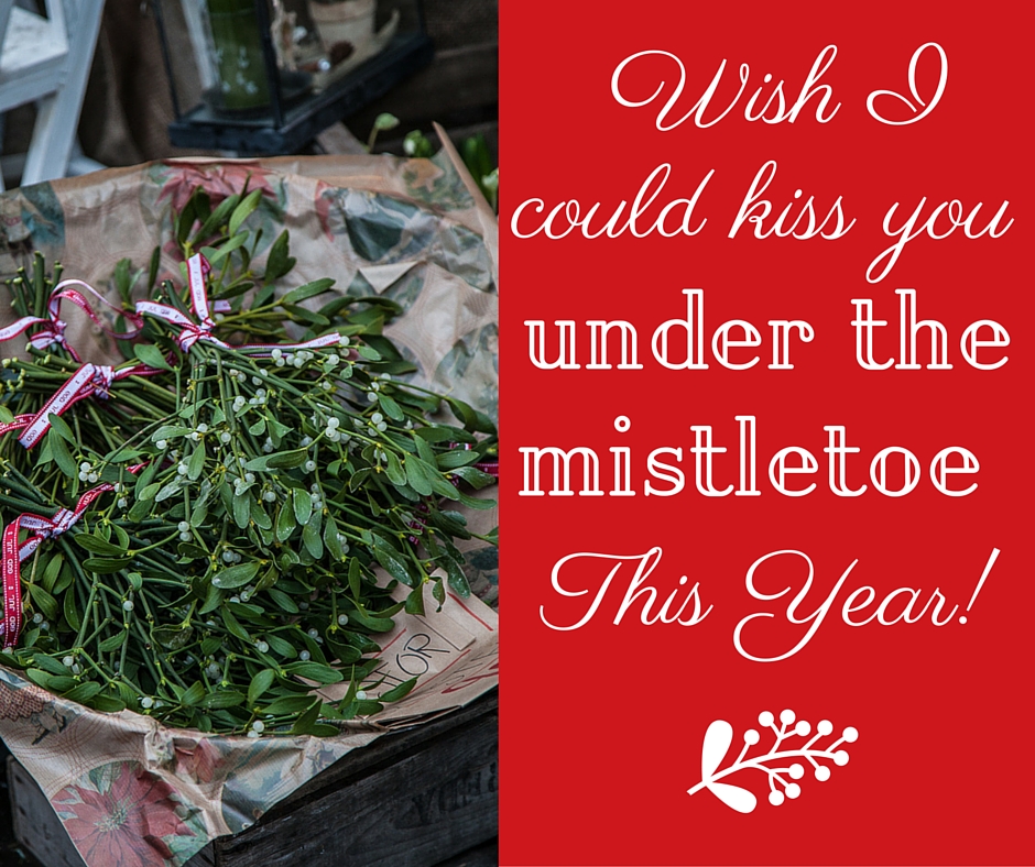 Wish I Could Kiss You Under The Mistletoe This Year!