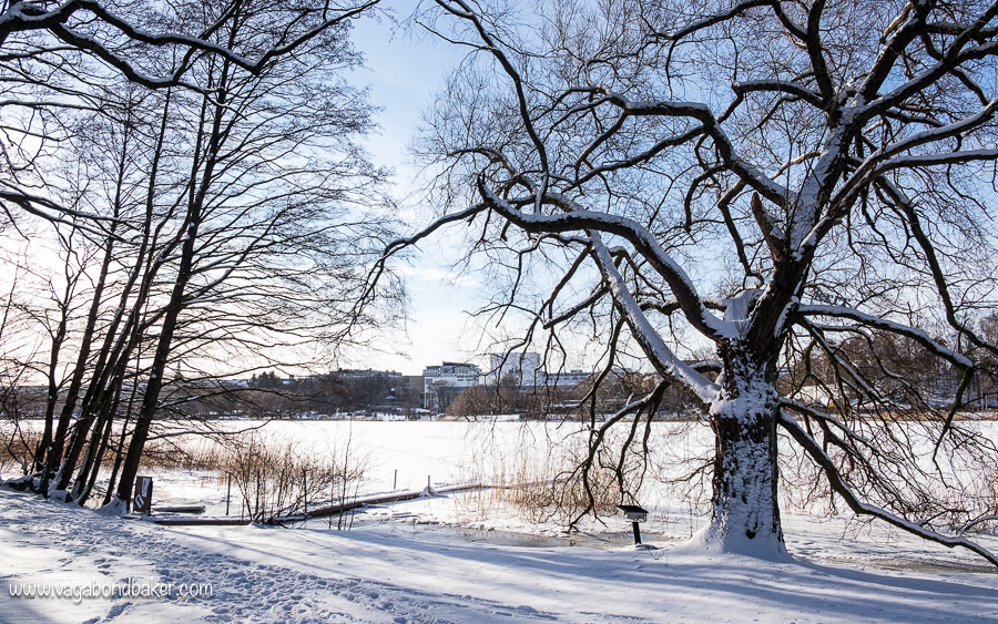 Helsinki bay Walk, Töölönlahti