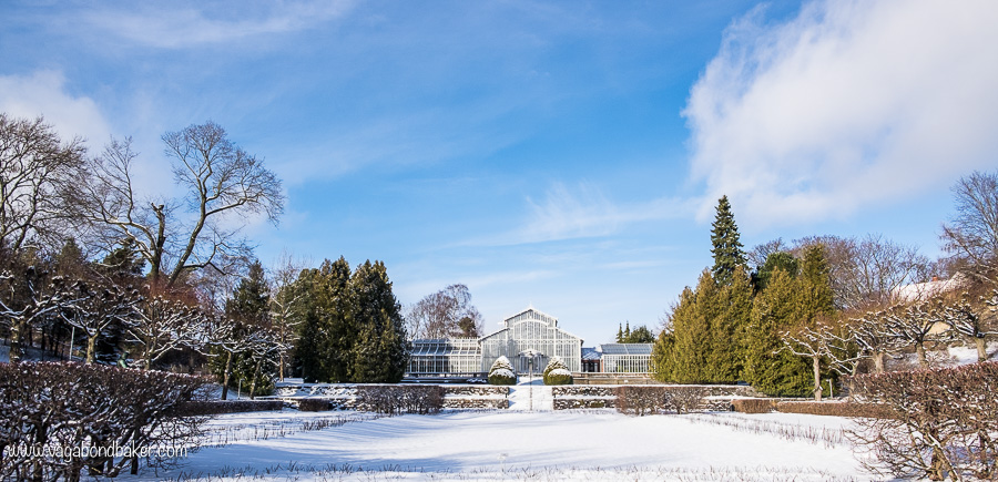 Helsinki Winter Garden