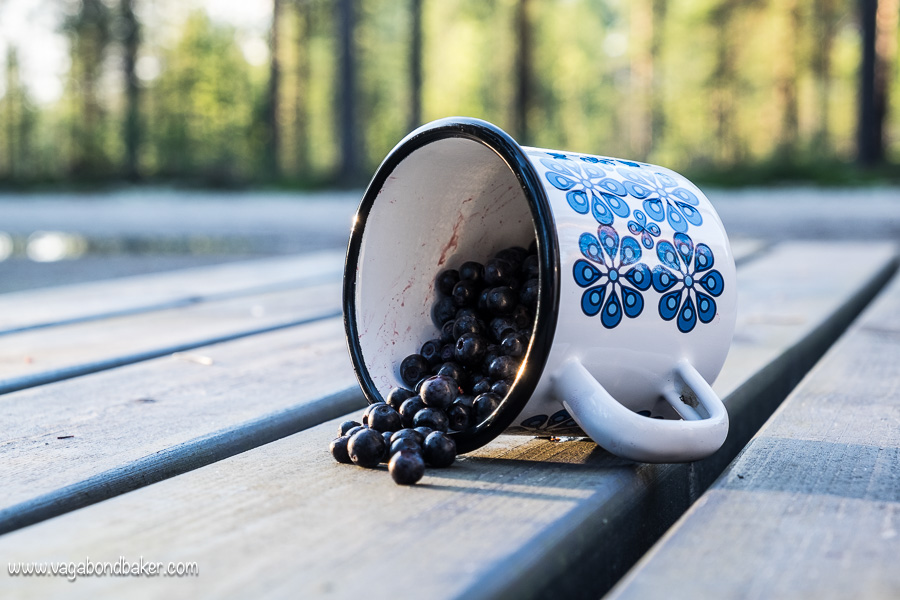 Finland Summer Blueberries