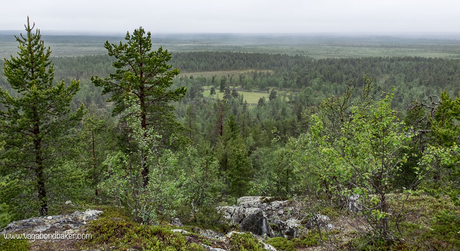 Saalivaara Reindeer Roundup Site