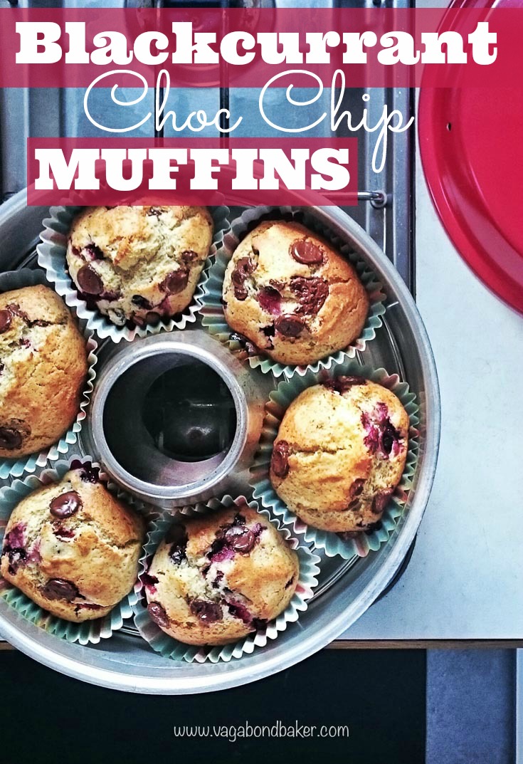 Blackcurrant Choc Chip Muffins, with a hint of cardamom to make them Scandinavian. The blackcurrants were picked in a Swedish garden!
