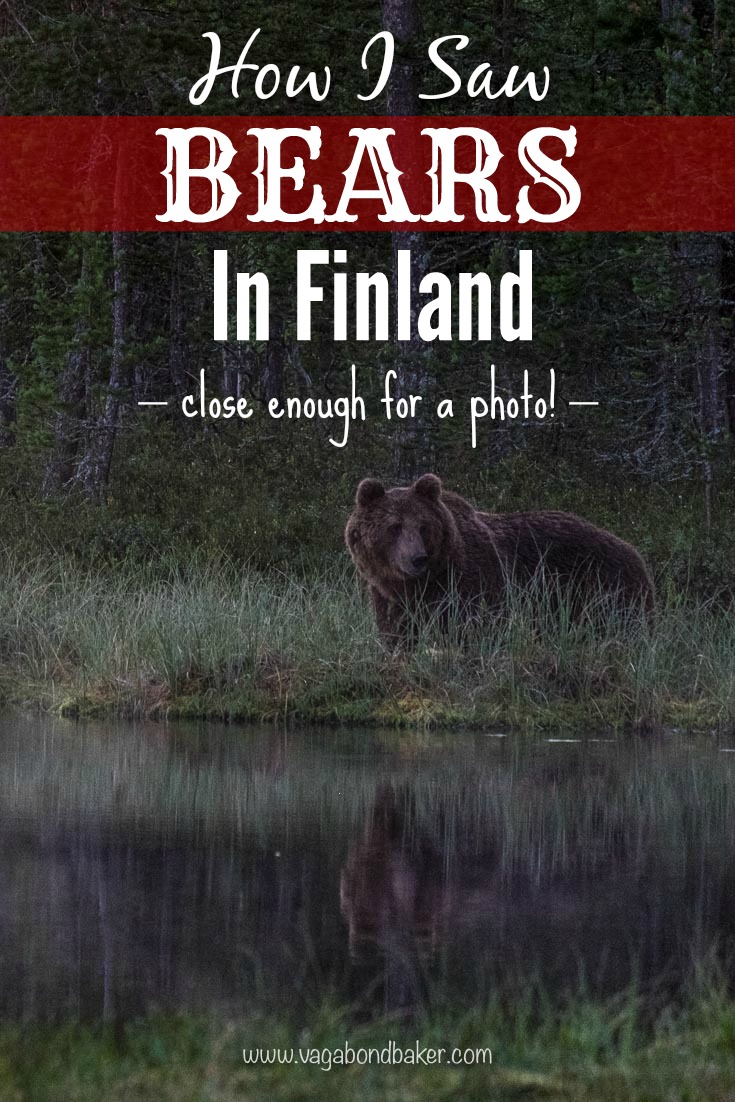 How I Saw Bears in Finland